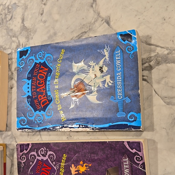 How to Train Your Dragon Books 1-4 - Picture 5 of 7